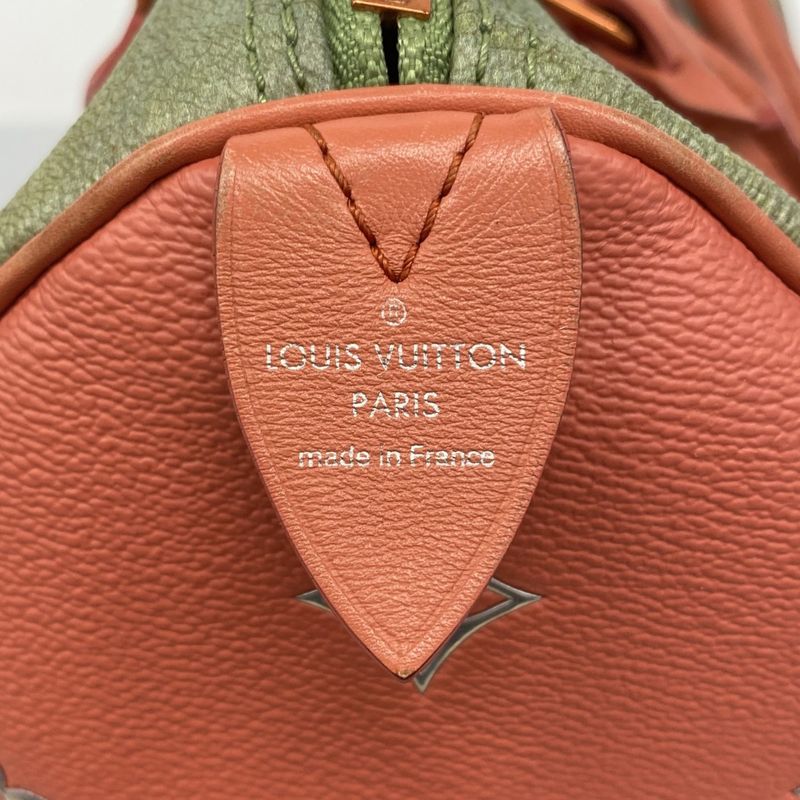 Louis Vuitton Handbag Mona Lisa Masters Collection Speedy 30 M43372 Poppy Petal