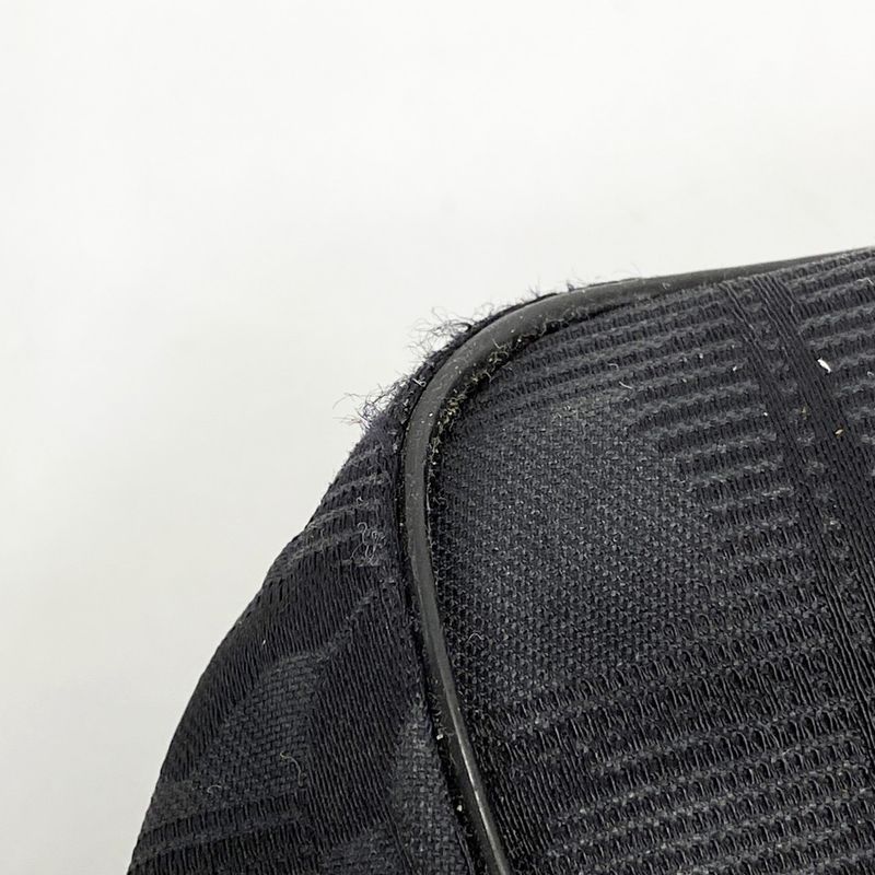 Chanel Tote New Travel Nylon Black Chien Pan Gold Hardware Women's