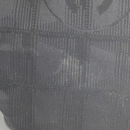 Chanel Tote New Travel Nylon Black Chien Pan Gold Hardware Women's