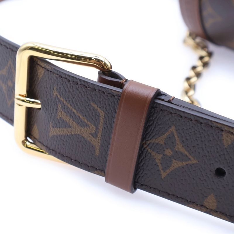Louis Vuitton Monogram Papillon Trunk Shoulder Bag Chain Bag Mini Bag Brown