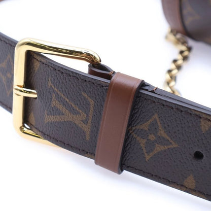Louis Vuitton Monogram Papillon Trunk Shoulder Bag Chain Bag Mini Bag Brown