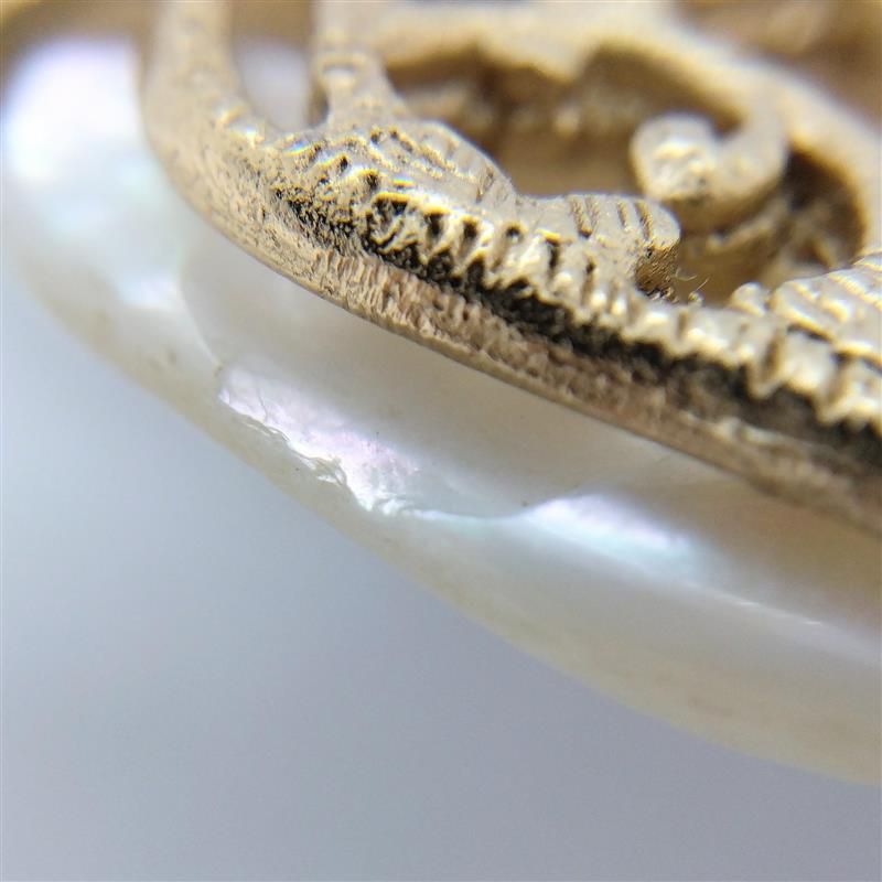 Chanel Camellia Coco Mark 01a Brooch Shell G