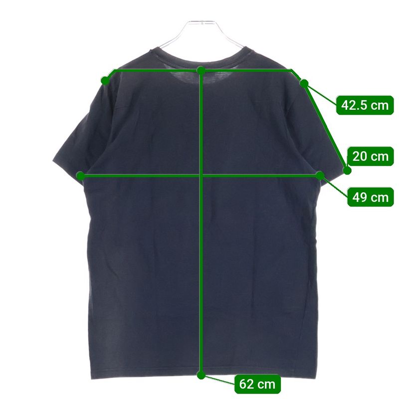 Dior Homme 18ss Rose Photographic Logo Print Crew Neck Short Sleeve T-Shirt Cut