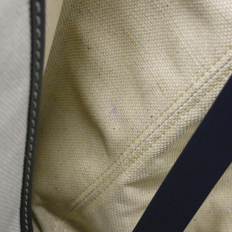 Goyard Belchas Beyond PM Bag