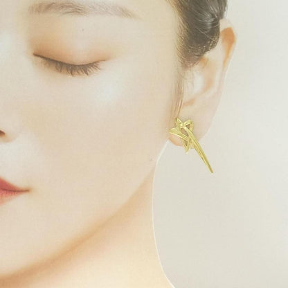 Tiffany & Co 750yg Earrings