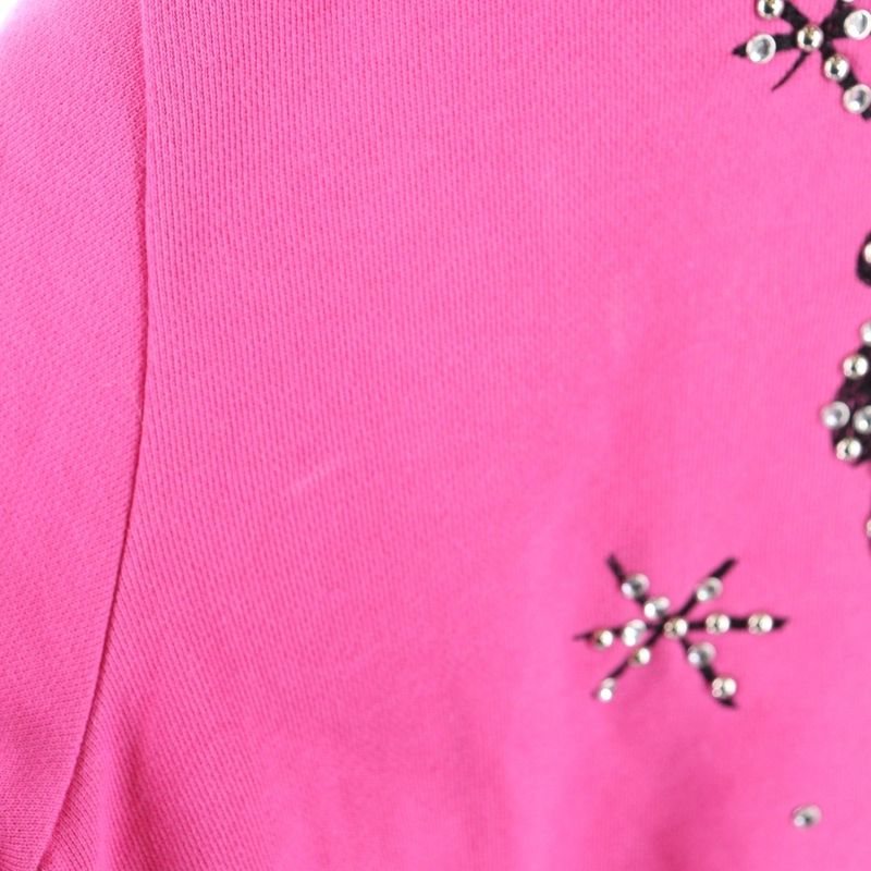 Celine Palm Tree Studded Hoodie Pullover Hoodie Pink 2y795670q