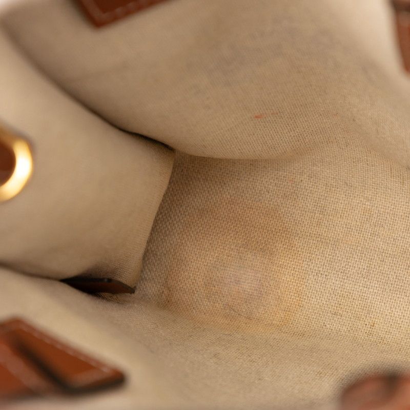 Celine Saint Tropez Mini Vertical Handbag Shoulder Bag 2way Ivory Brown Canvas