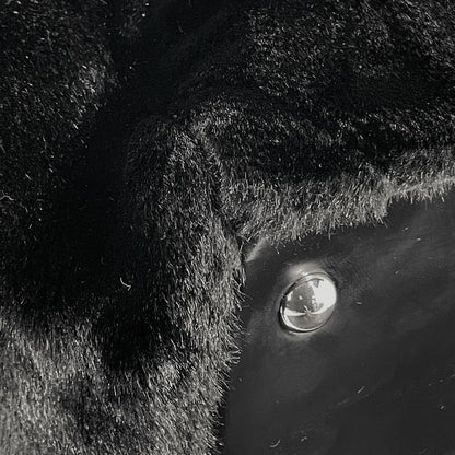 Chanel Coco Mark Chain Tote Bag Camellia Shoulder Bag Tote Bag Fur Black Women