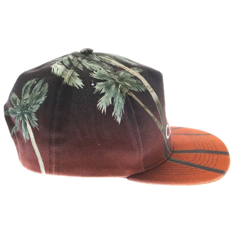 Celine Street Style Cap Tree Print Street Style Cap Hat Multicolor 2auu1702q