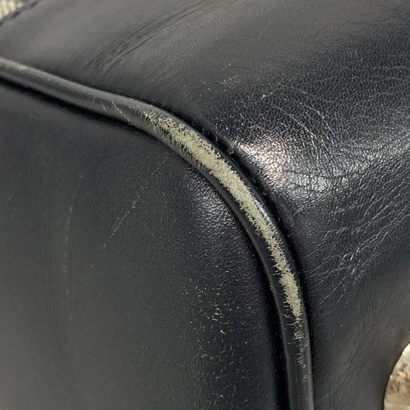 Dior Christian Dior Handbag Trotter Navy and Ivory Leather