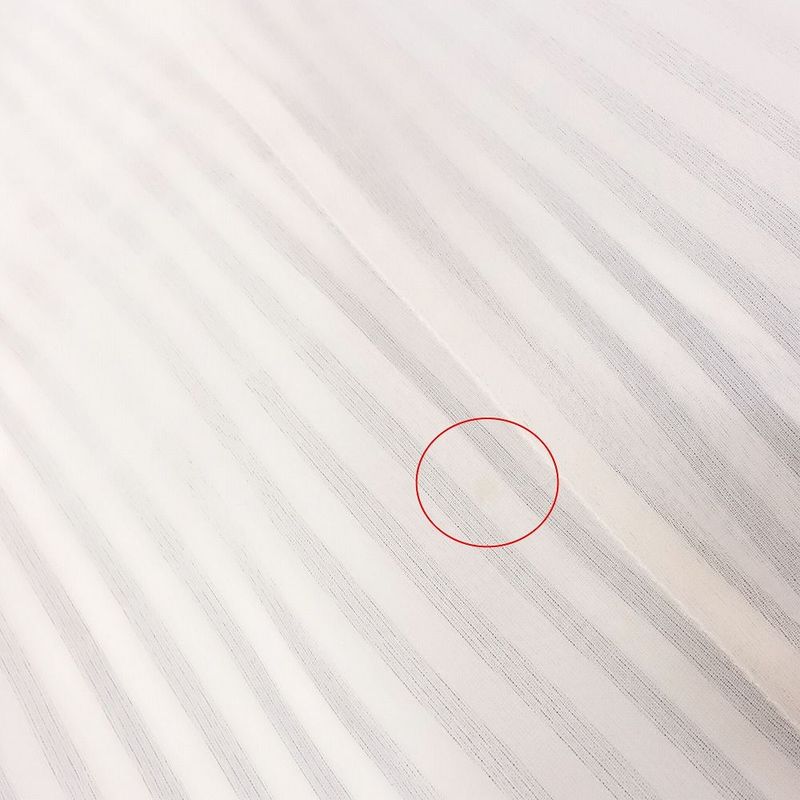 19ss Dior by Kim Jones Striped Slacks Pants Silk Organdy Bottoms 48 M White