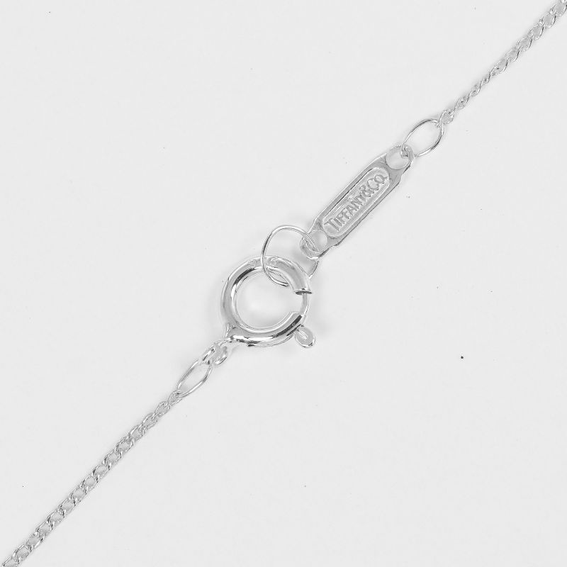 Tiffany & Co Penguin Silver 925 Ladies G Necklace