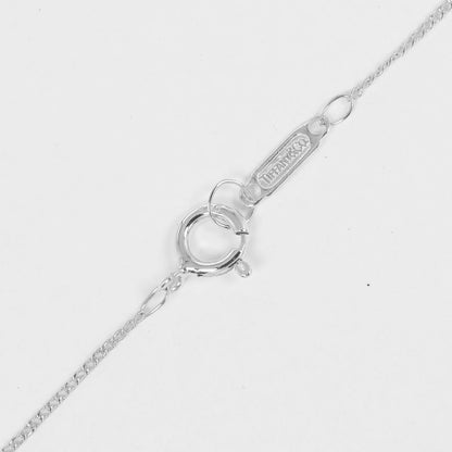 Tiffany & Co Penguin Silver 925 Ladies G Necklace