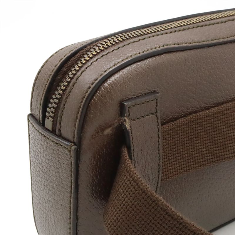 Gucci Logo Belt Bag Body Bag Waist Bag 2way Clutch Bag 100th Anniversary