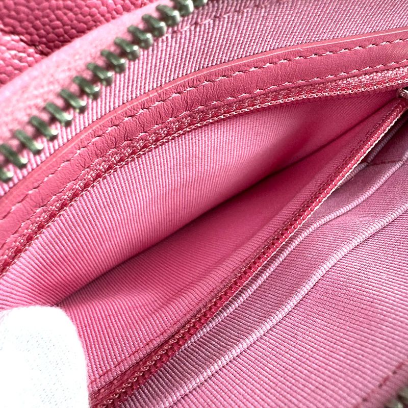 Chanel Chain Wallet Crossbody Shoulder Bag