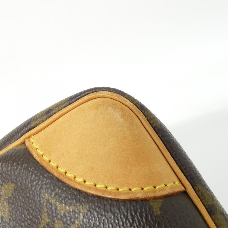 Louis Vuitton Monogram Amazon M45236 Shoulder Bag