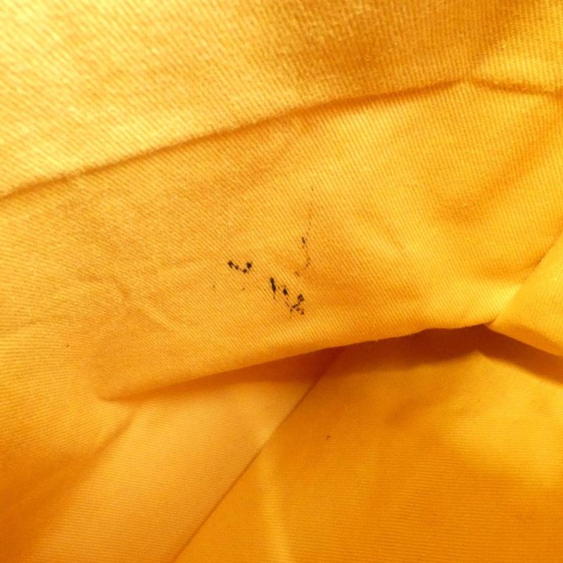 Goyard Saint Lucie AMA Lucie Bag