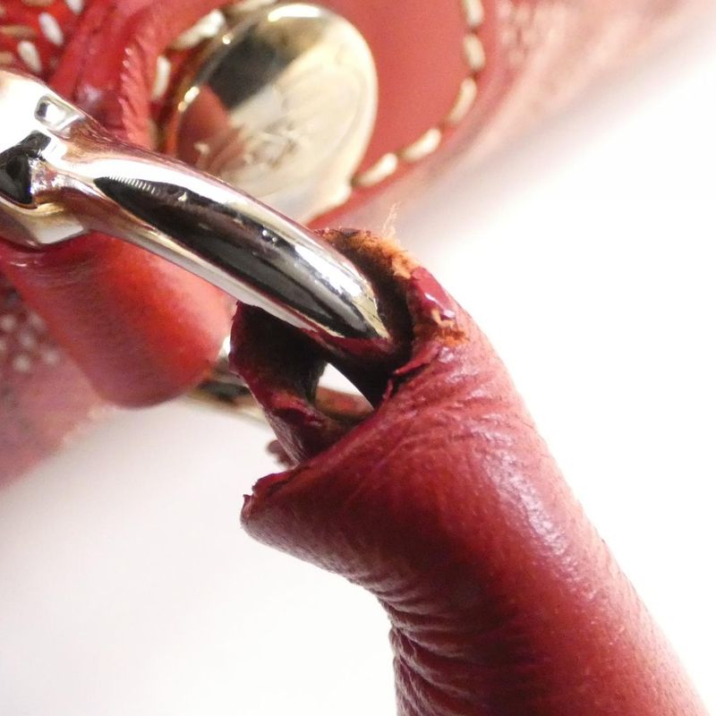 Goyard Saint Lucie AMA Lucie Bag