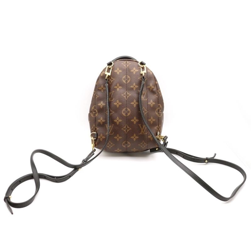 Louis Vuitton Monogram Macassar Palm Springs Mini Backpack Sac Backpack