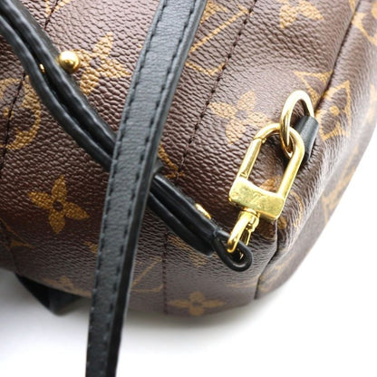 Louis Vuitton Monogram Macassar Palm Springs Mini Backpack Sac Backpack