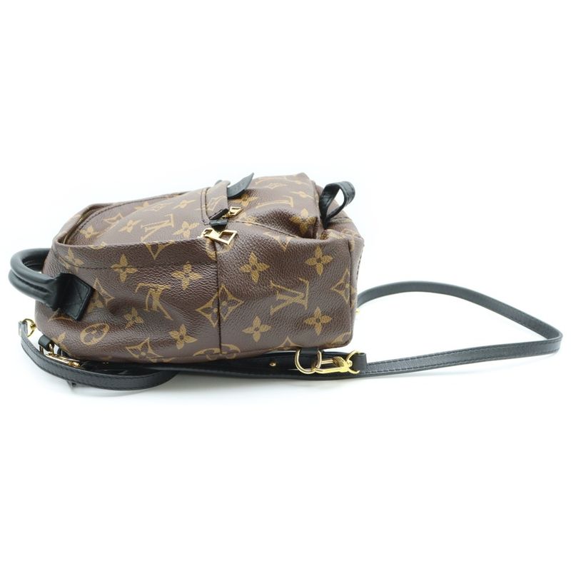 Louis Vuitton Monogram Macassar Palm Springs Mini Backpack Sac Backpack
