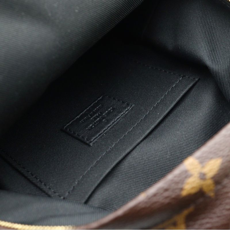 Louis Vuitton Monogram Macassar Palm Springs Mini Backpack Sac Backpack