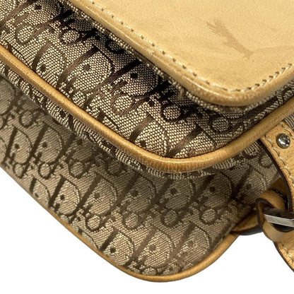 Dior Christian Dior Shoulder Bag Street Chic Trotter Beige and Dark Brown