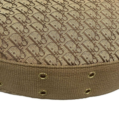 Dior Christian Dior Shoulder Bag Street Chic Trotter Beige and Light Brown