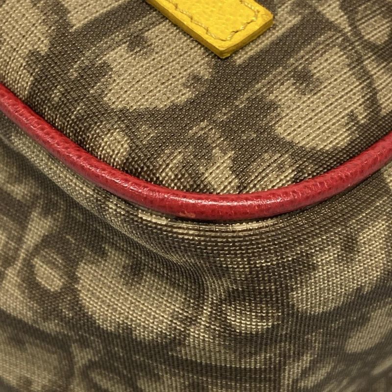 Dior Christian Dior Shoulder Bag Rasta Trotter Beige and Dark Brown Leather