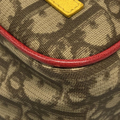 Dior Christian Dior Shoulder Bag Rasta Trotter Beige and Dark Brown Leather