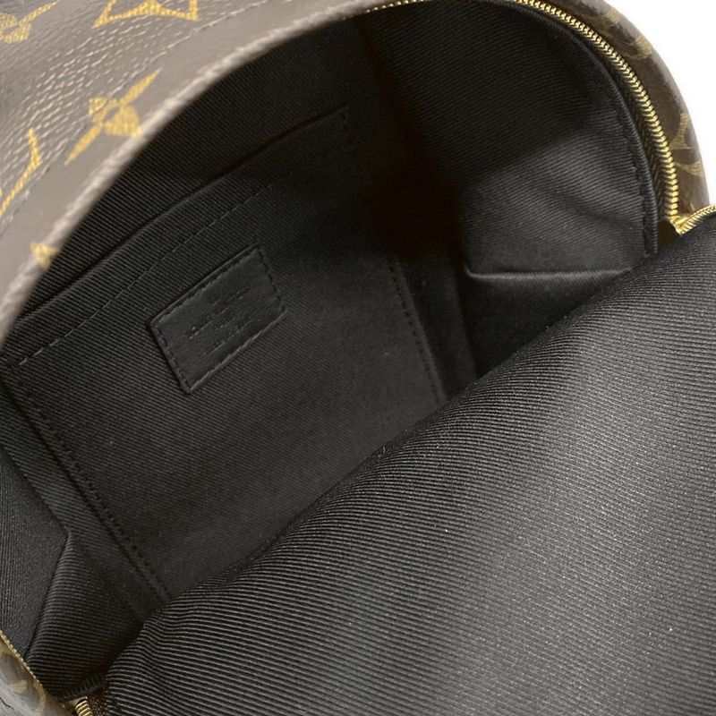 Louis Vuitton Backpack Sac Monogram Palm Springs Backpack Mini M41562