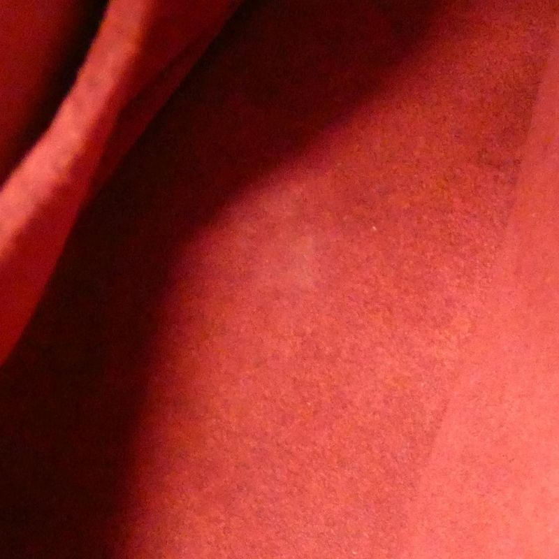 Louis Vuitton Monogram Viva Cité MM M51164 Shoulder Bag