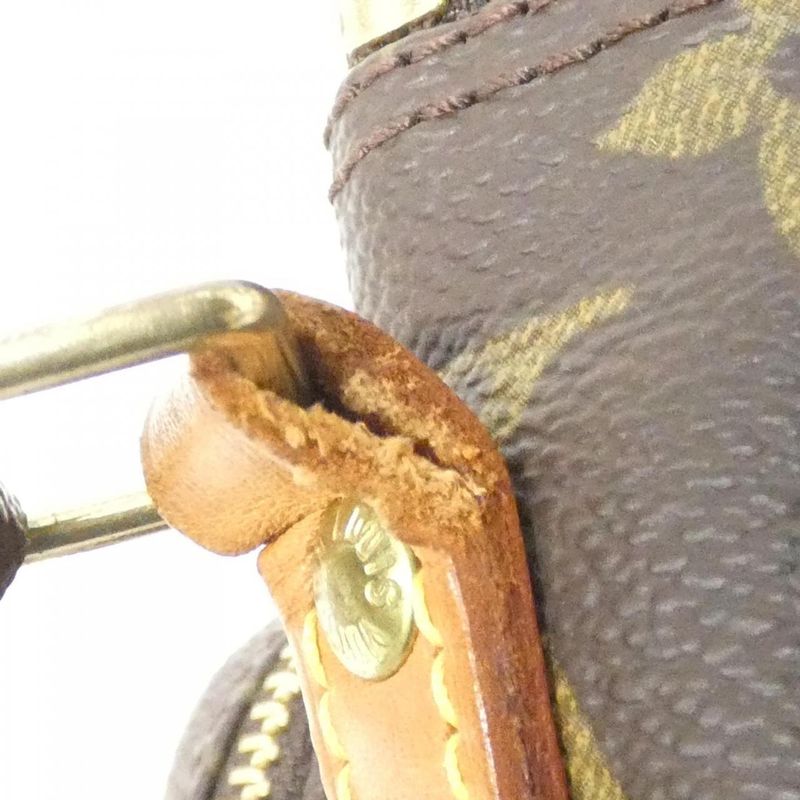 Louis Vuitton Monogram Amazon M45236 Shoulder Bag