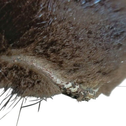 Loewe Handbag - Black and Dark Brown Fur Tote Leather Fur