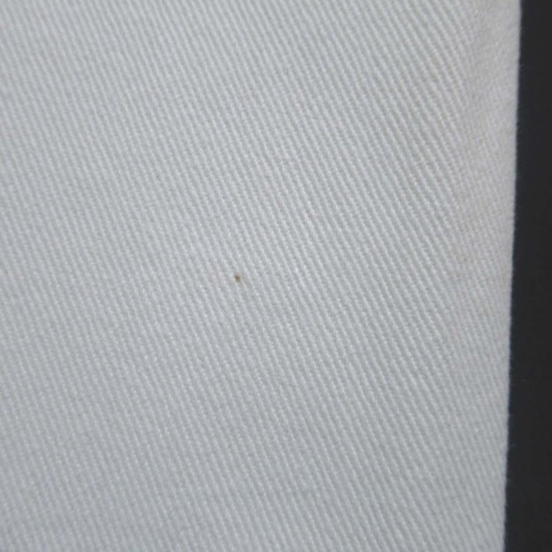 01C Chanel Coco Mark Button Sideline Denim Pants Jeans Size 36 White Ladies