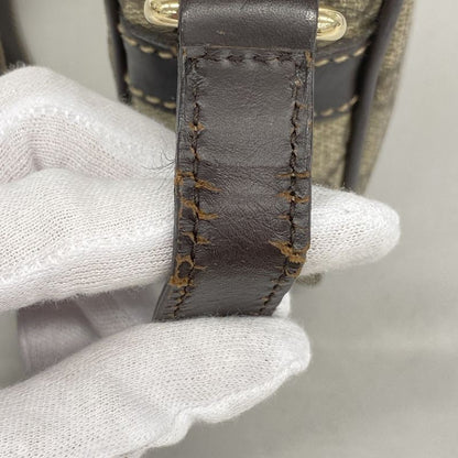 Gucci Shoulder Bag GG Supreme 201447 PVC Brown Chien Pan Gold Hardware Women