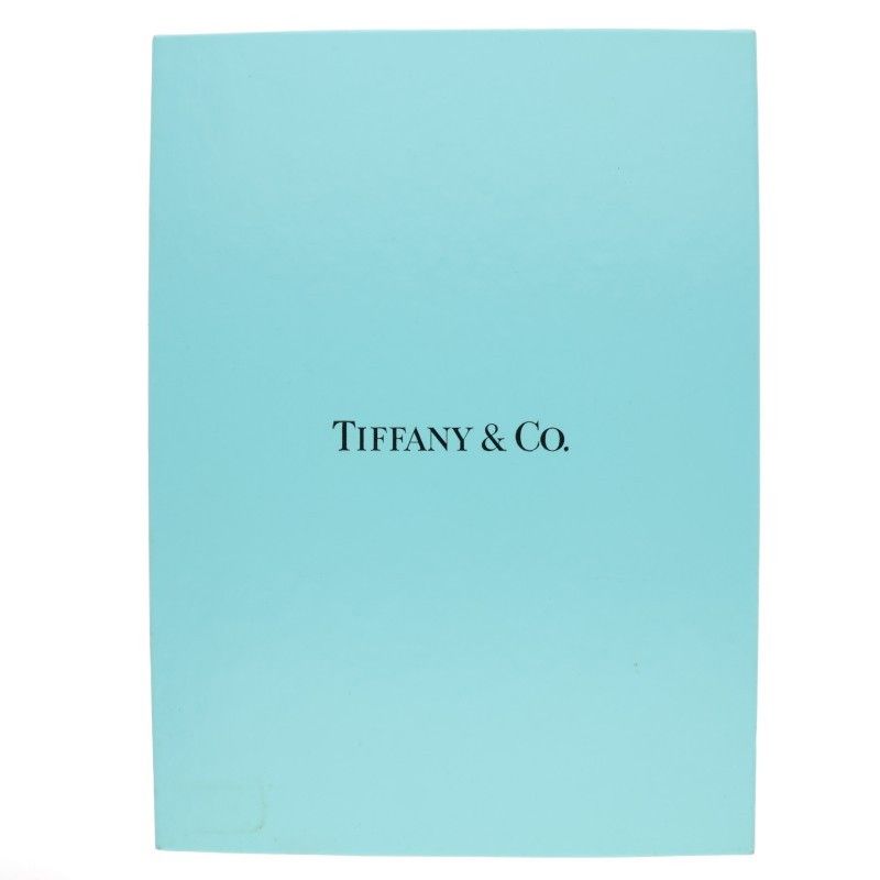 Tiffany & Co Paloma Picasso Silver Ring Link Necklace Women