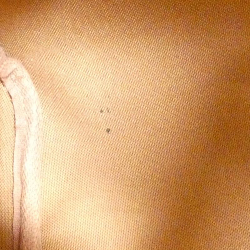 Louis Vuitton Monogram Speedy 30cm (11.81in) M41108 Boston Bag