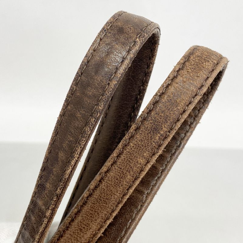 Chanel Shoulder Bag Fur Brown Chien Pan Gold Hardware Women's