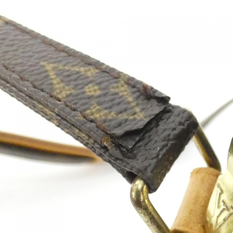 Louis Vuitton Monogram Amazon M45236 Shoulder Bag