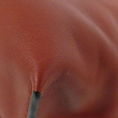 Loewe A411fc1xbf Shoulder Bag