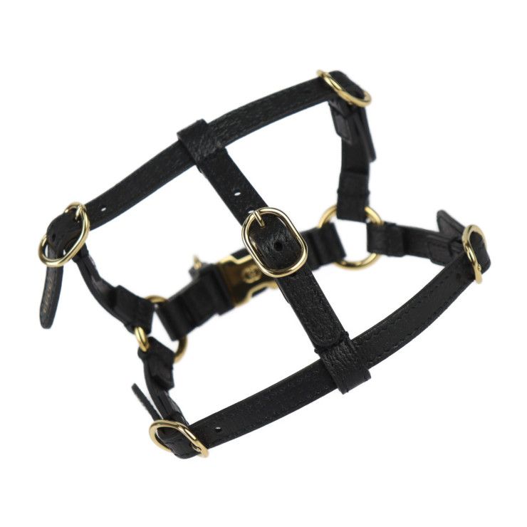 Gucci Dog Harness Other Sundries 692965 Leather Black Gold Hardware Dog Pet