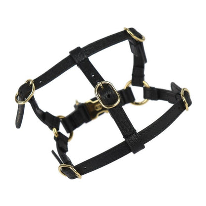 Gucci Dog Harness Other Sundries 692965 Leather Black Gold Hardware Dog Pet