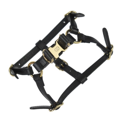 Gucci Dog Harness Other Sundries 692965 Leather Black Gold Hardware Dog Pet