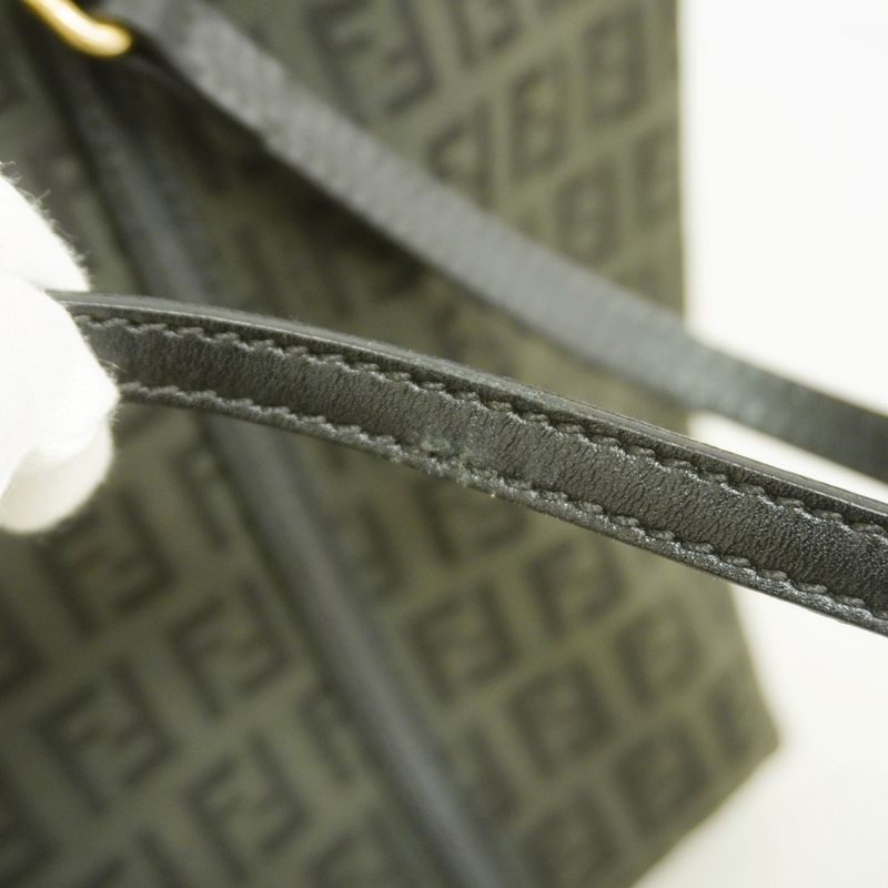 Fendi Tote Bag Zucchino Nylon Canvas Black Chien Pan Gold Hardware Women's