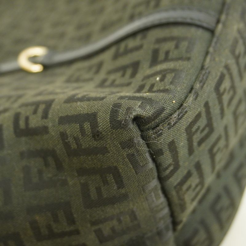 Fendi Tote Bag Zucchino Nylon Canvas Black Chien Pan Gold Hardware Women's