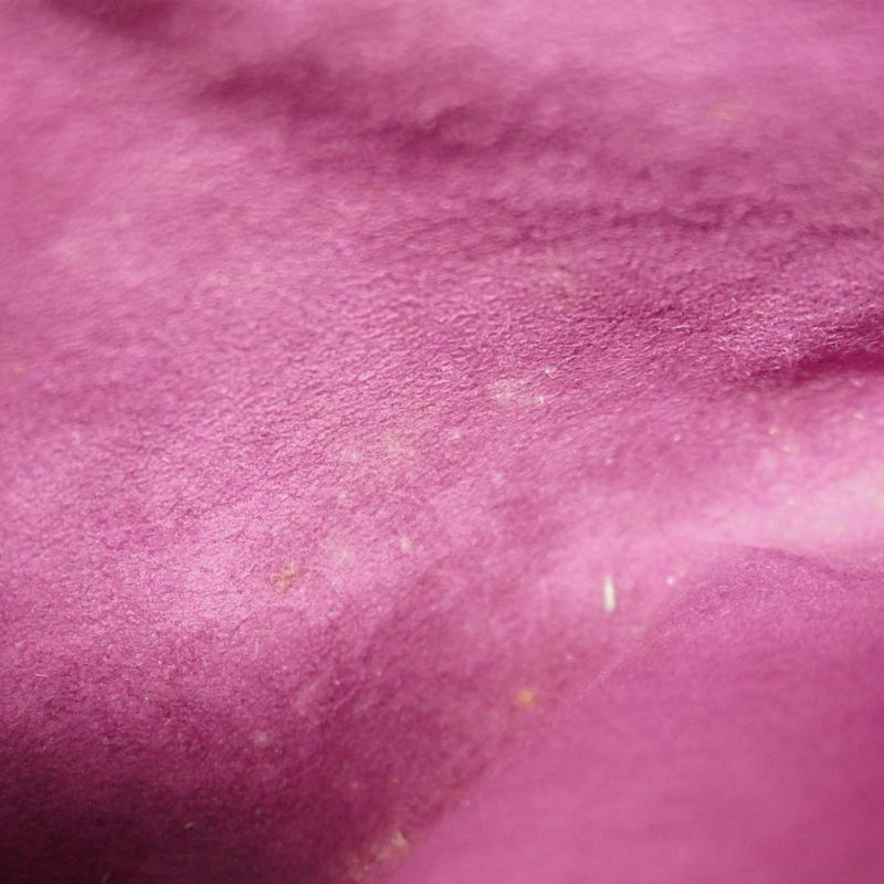 Louis Vuitton Shoulder Bag Epi Saint Jacques Shopping M52269 Jeanne Women's