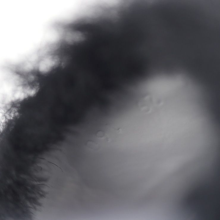 Unused Exhibit Gucci Horsebit Sandals 526176 #29 Rubber Faux Fur Tricolor Gold