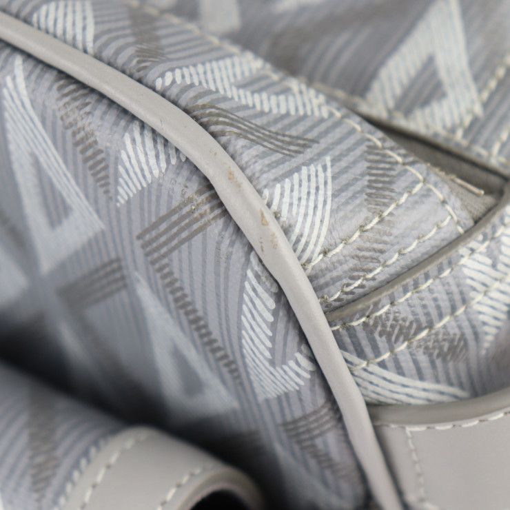 DIOR Hit The Road Pet Carry Bag Boston Bag 1esdu035cdp_h42e PVC Leather Gray