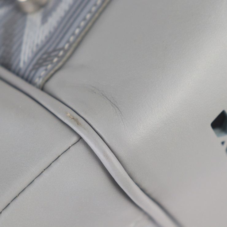 DIOR Hit The Road Pet Carry Bag Boston Bag 1esdu035cdp_h42e PVC Leather Gray